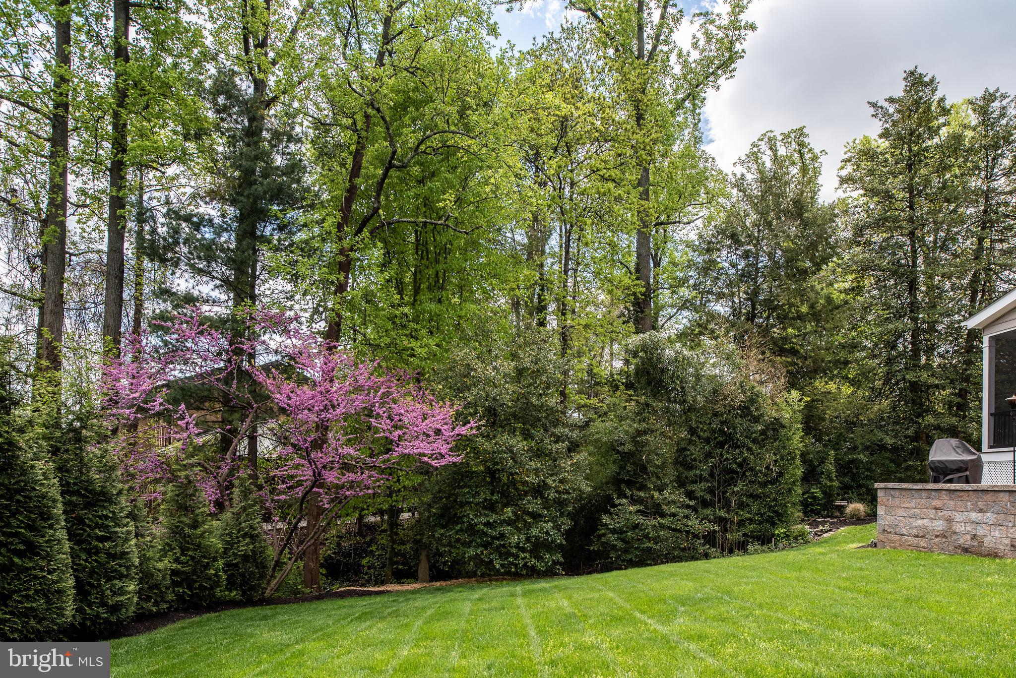 12803 Occoquan Road Woodbridge, VA 22192 - Photo 67 of 93 Gallery Image 67
