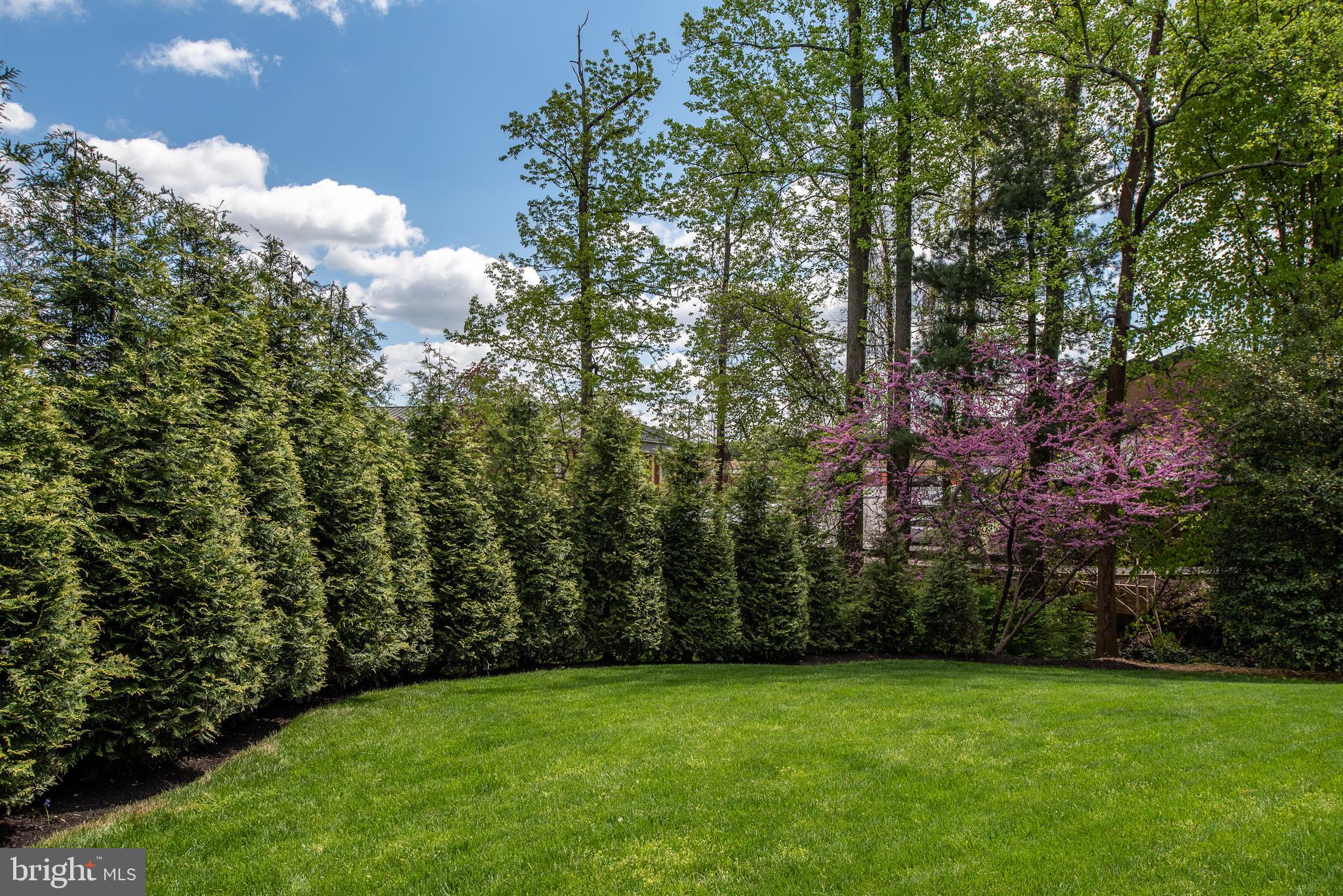 12803 Occoquan Road Woodbridge, VA 22192 - Photo 68 of 93 Gallery Image 68