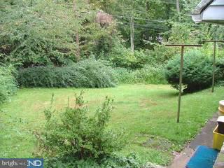 24 East Thomson Avenue Springfield, PA 19064 - Photo 5 of 6 Gallery Image 5