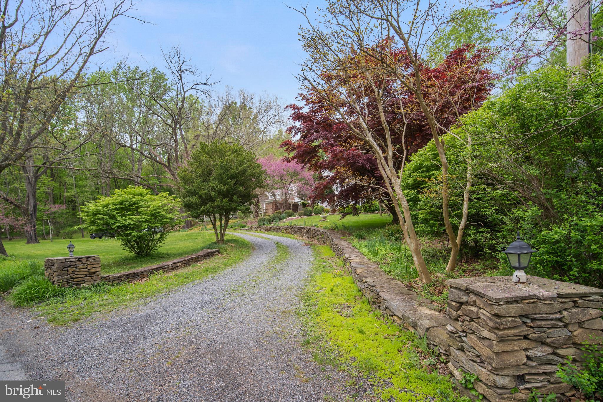 24501 Peach Tree Road Clarksburg, MD 20871 - Photo 4 of 81