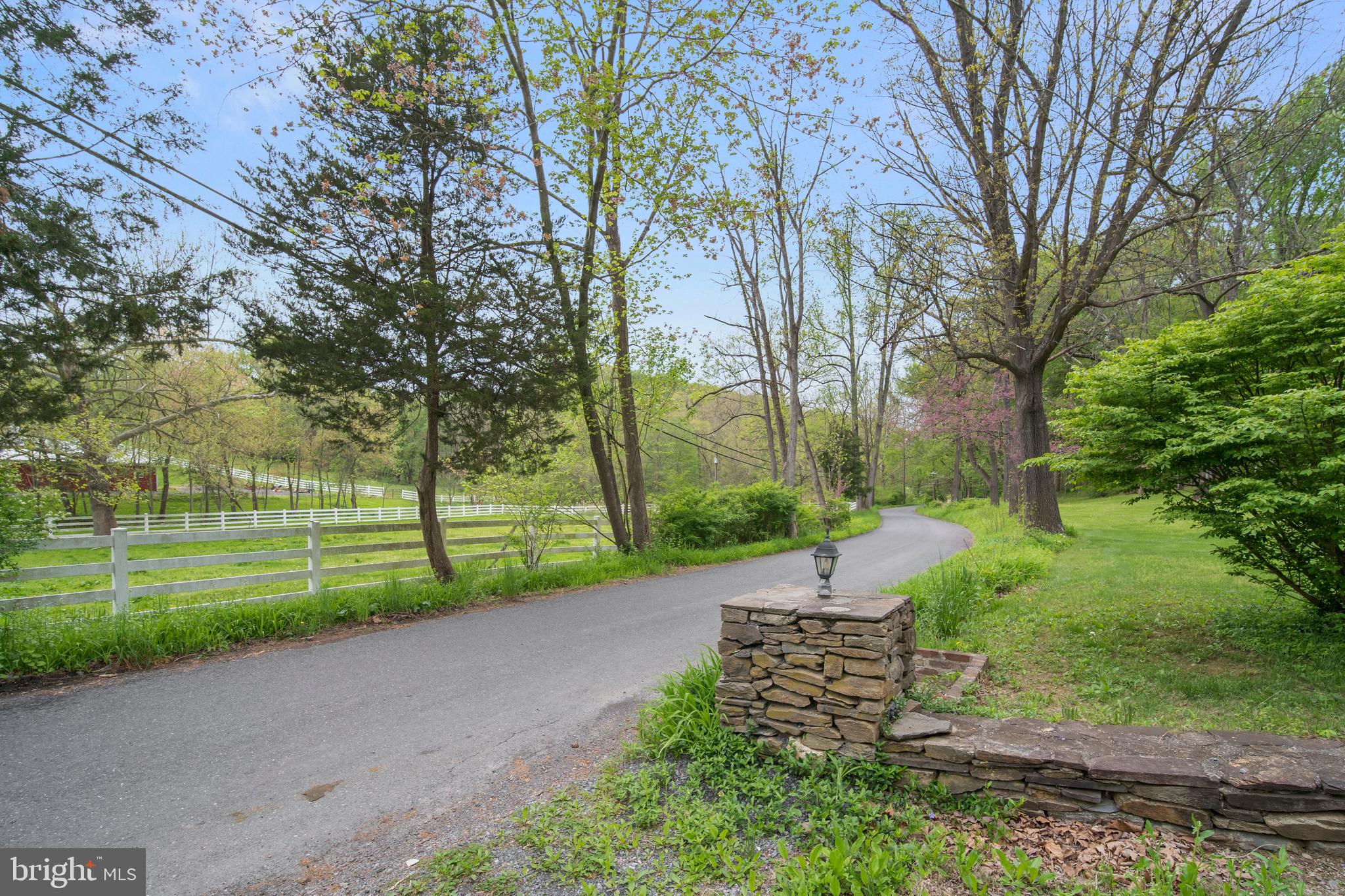24501 Peach Tree Road Clarksburg, MD 20871 - Photo 5 of 81
