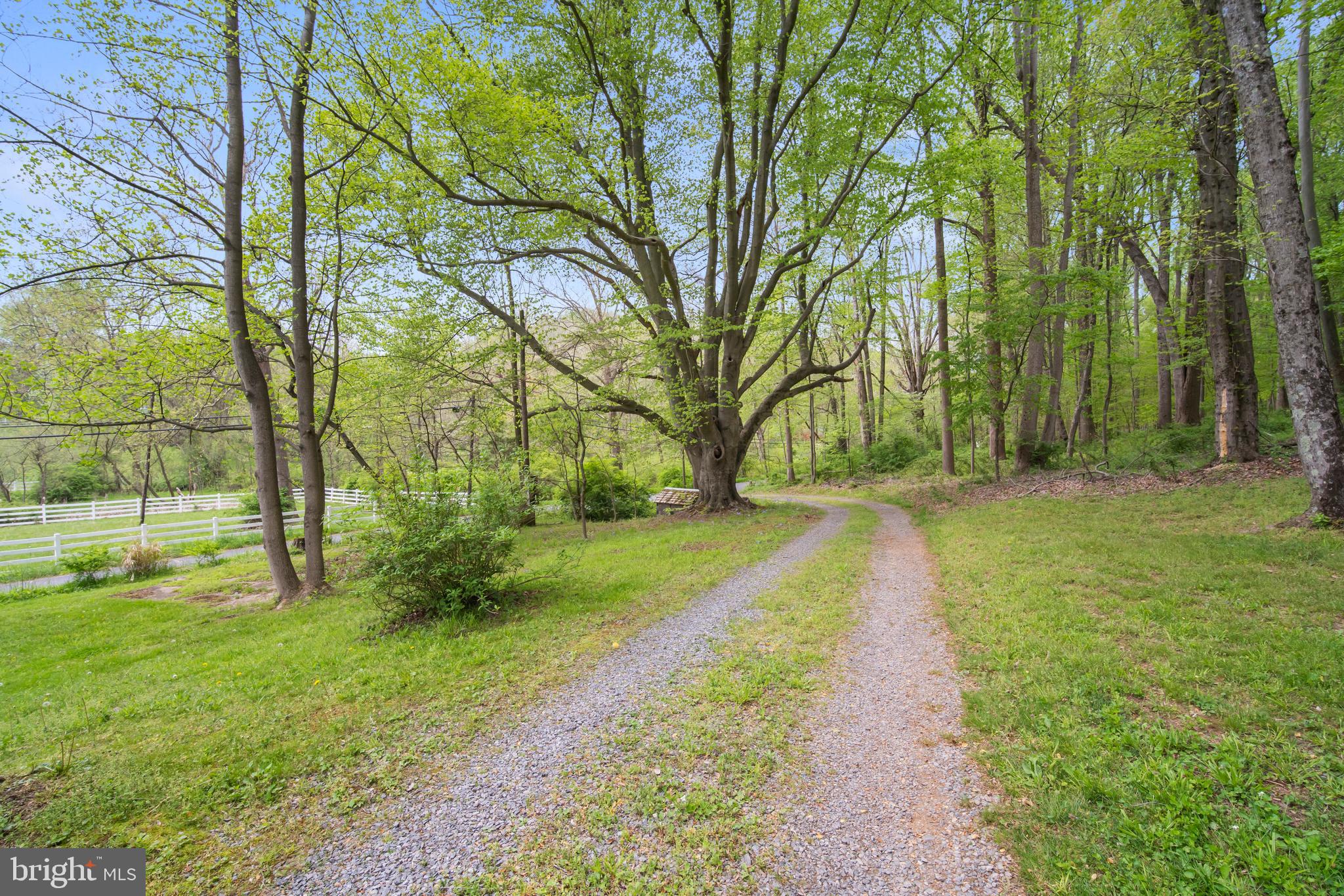 24501 Peach Tree Road Clarksburg, MD 20871 - Photo 6 of 81
