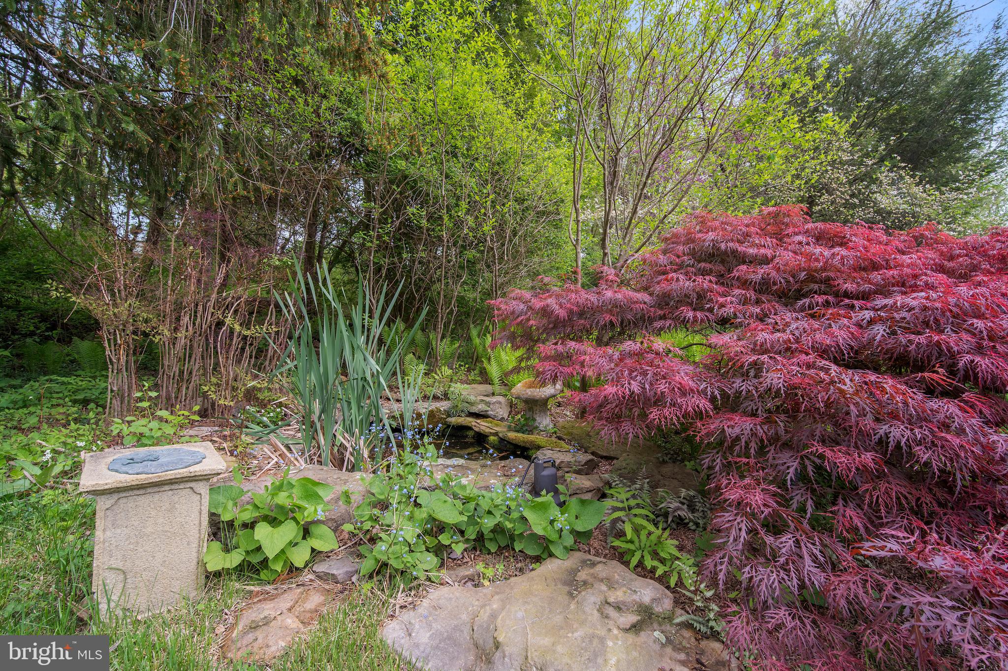 24501 Peach Tree Road Clarksburg, MD 20871 - Photo 59 of 81