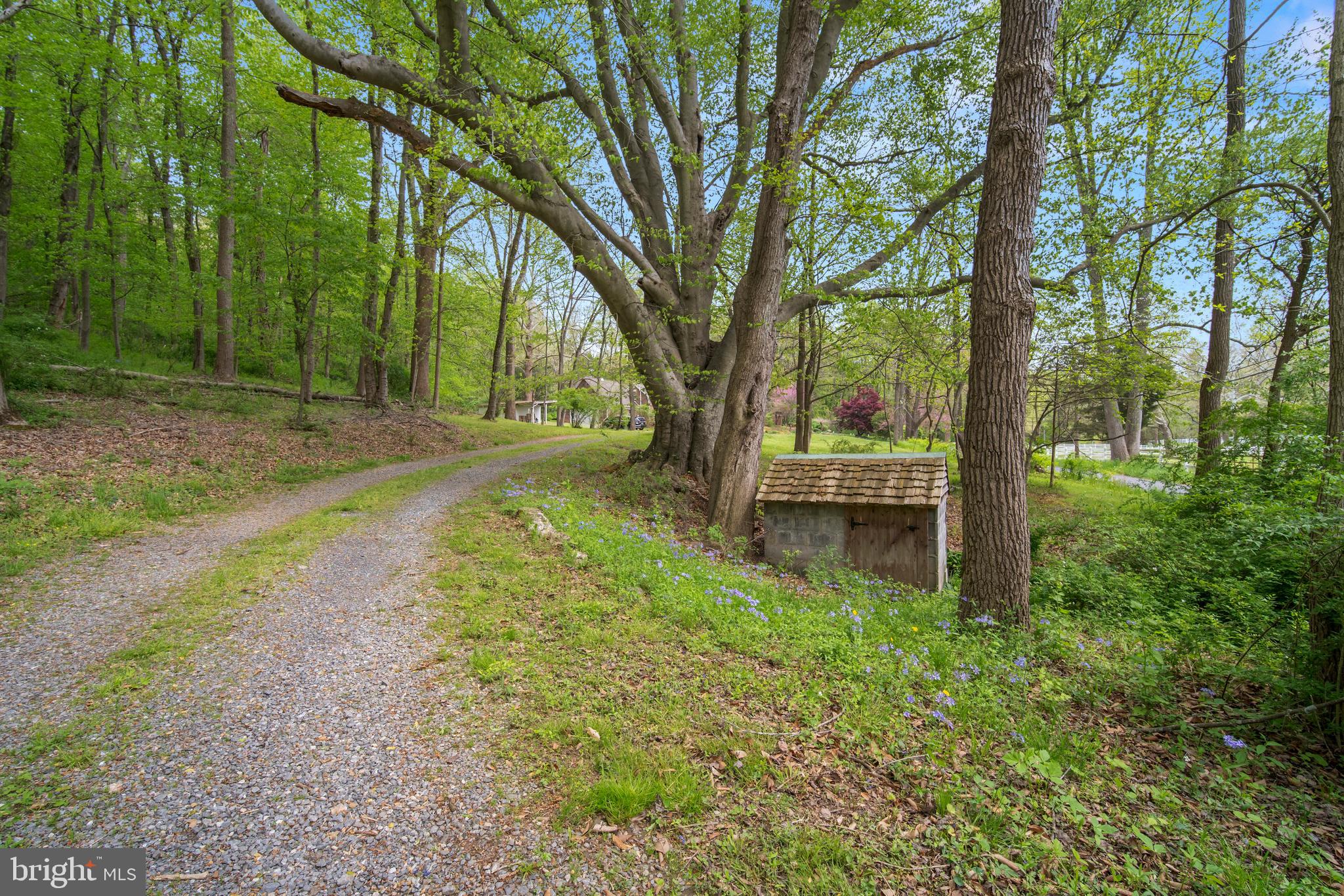 24501 Peach Tree Road Clarksburg, MD 20871 - Photo 78 of 81