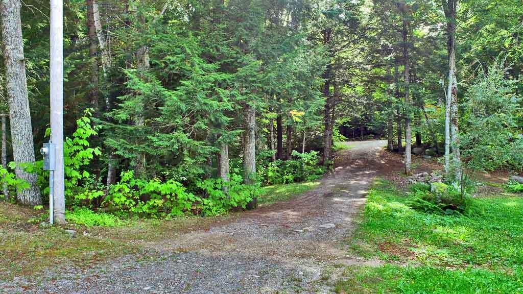 638 Sandy Beach Road Danforth, ME 04424 - Photo 93 of 94 shared-driveway-638-sandy-b