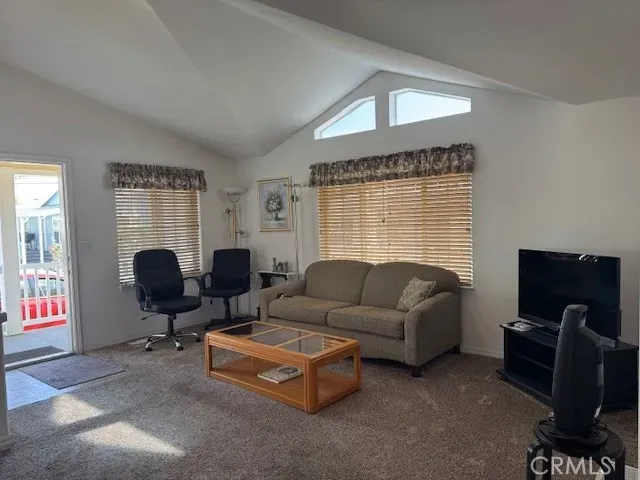 a living room with furniture a fireplace and a potted plant