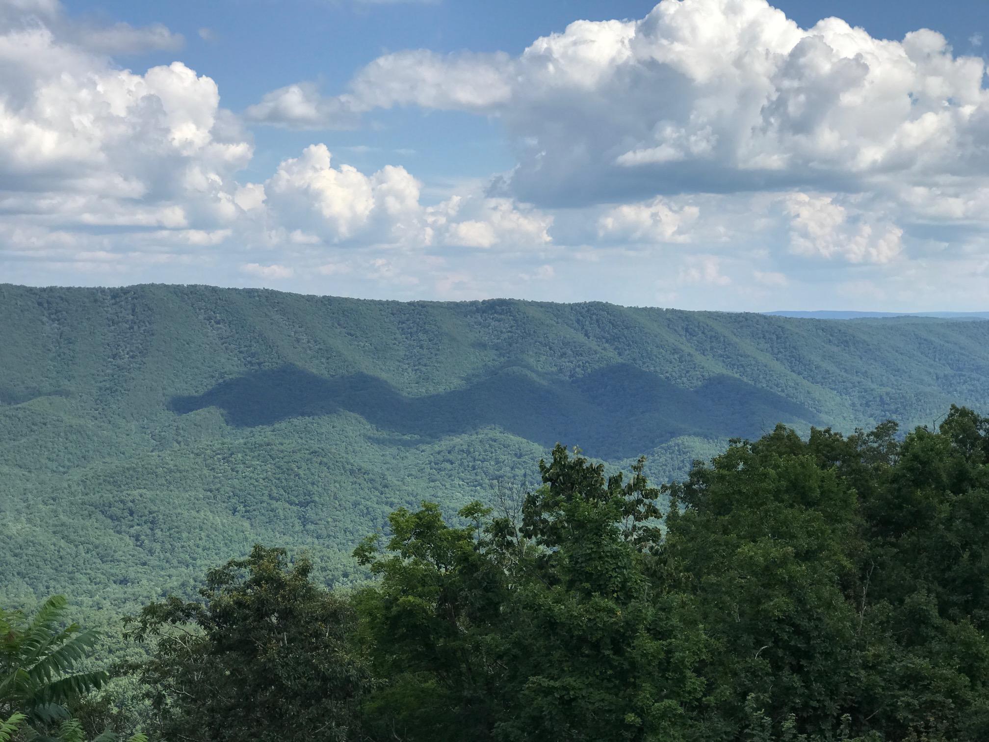 Lot 12 Wildwood Ridge Lindside, WV 24951 - Photo 16 of 24 Gallery Image 16
