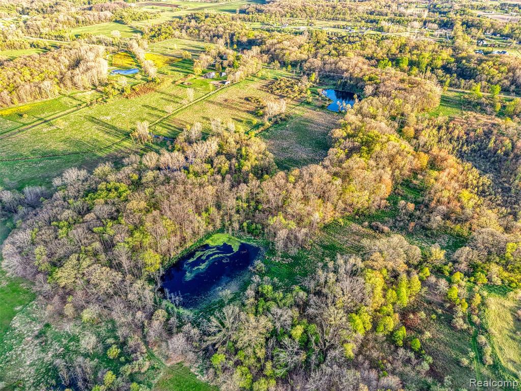 9800 Roberts Road Gregory, MI 48137 - Photo 54 of 67