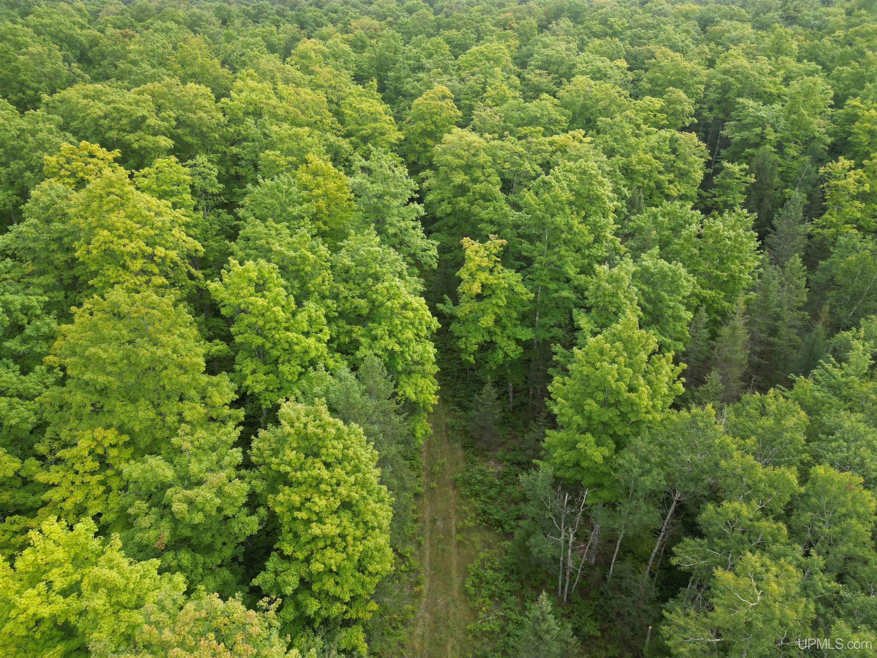 Tbd Tbd County Road, Unit 1 Cornell, MI 49818 - Photo 16 of 41
