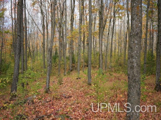 5800 Wolf Lake Road Watersmeet, MI 49969 - Photo 60 of 86