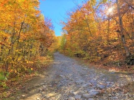 3 Coffin Road Farmington, ME 04938 - Photo 28 of 29 IMG_1057