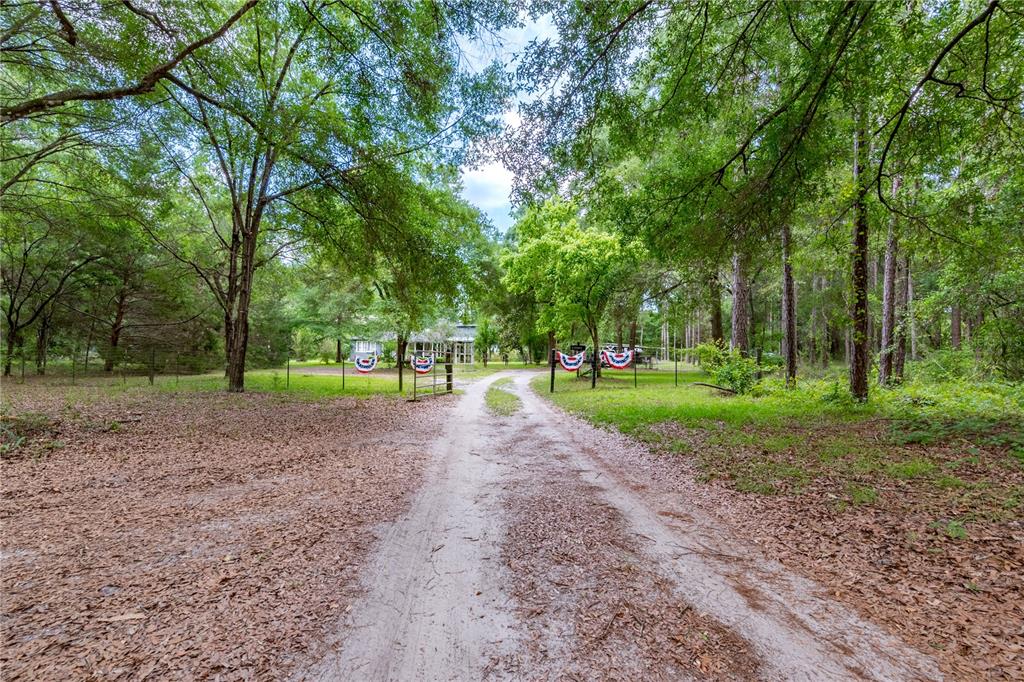 23227 West Newberry Road Newberry, FL 32669 - Photo 25 of 30 a view of a house with a big yard