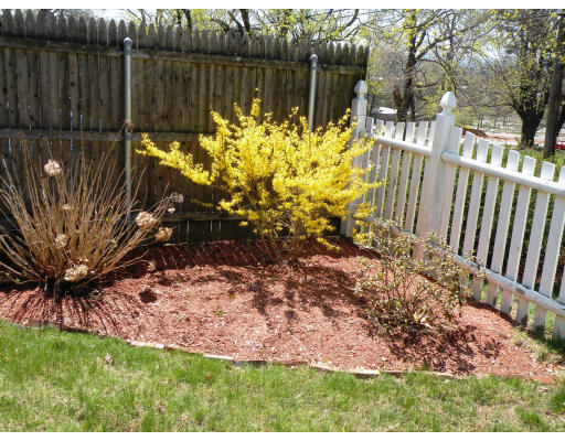 170 Beverly Road Worcester, MA 01605 - Photo 26 of 30