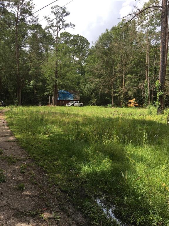 233 Dummyline Road Madisonville, LA 70447 - Photo 14 of 40 Gallery Image 14