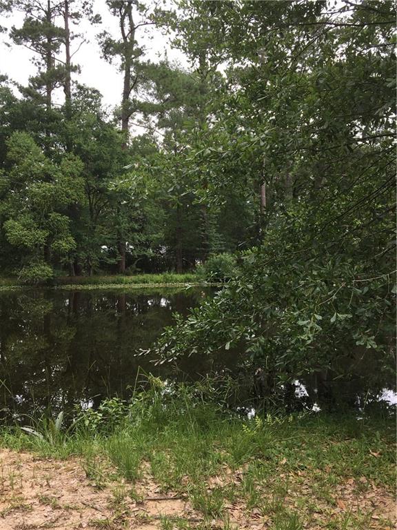 233 Dummyline Road Madisonville, LA 70447 - Photo 30 of 40 Gallery Image 30