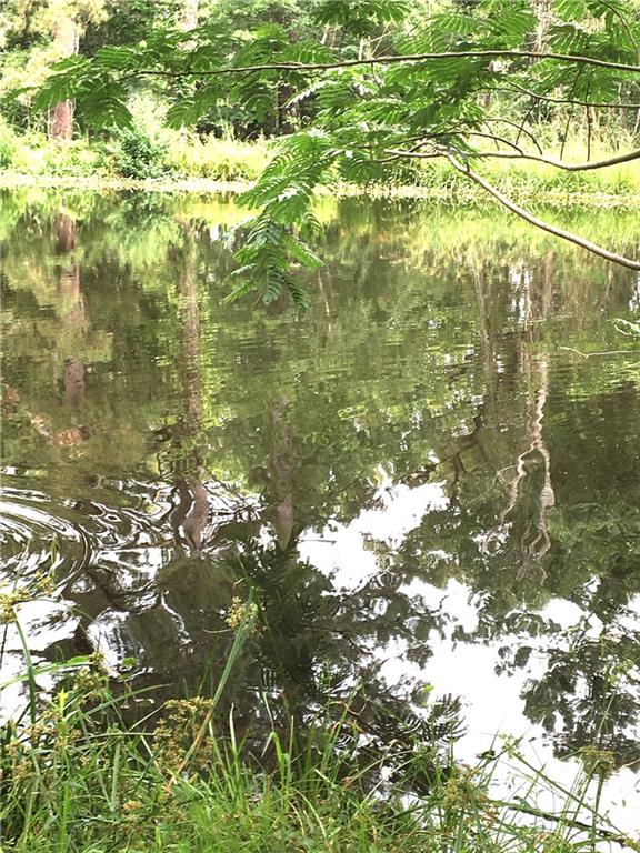 233 Dummyline Road Madisonville, LA 70447 - Photo 6 of 40 Gallery Image 6