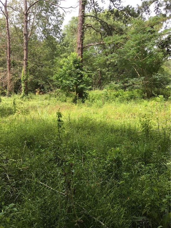 233 Dummyline Road Madisonville, LA 70447 - Photo 8 of 40 Gallery Image 8