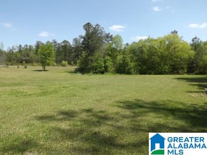 748 Will Keith Road Trussville, AL 35173 - Photo 16 of 44