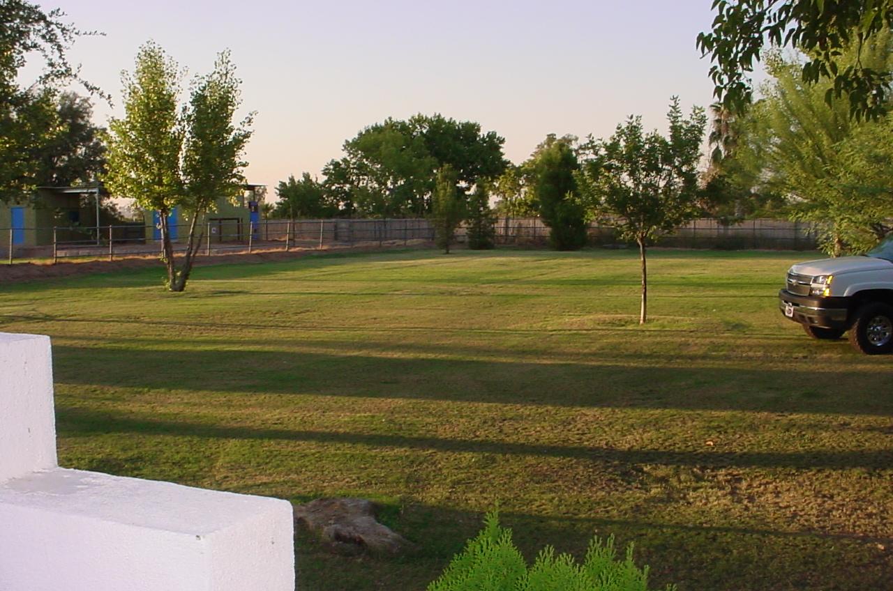 3616 East Vineyard Road Phoenix, AZ 85042 - Photo 19 of 23 Back grass