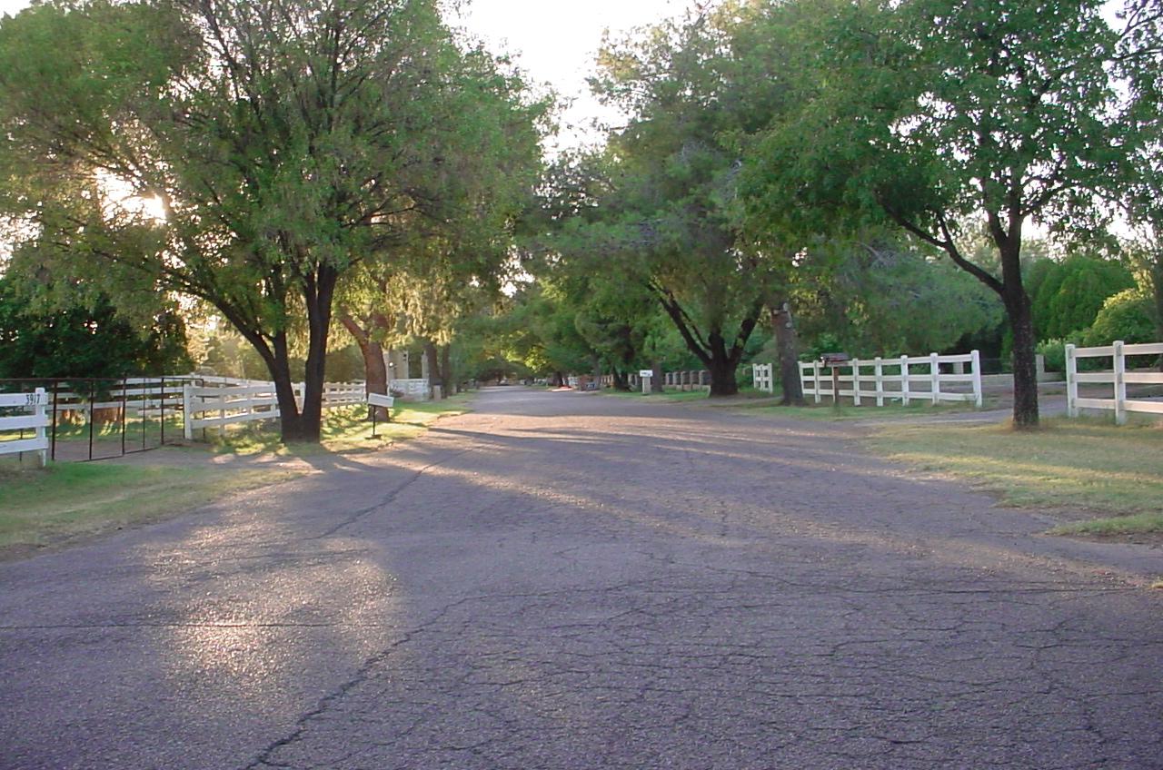 Tree lined street