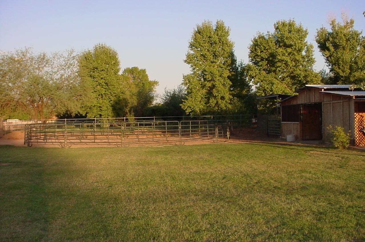 3616 East Vineyard Road Phoenix, AZ 85042 - Photo 22 of 23 Corral and Barn