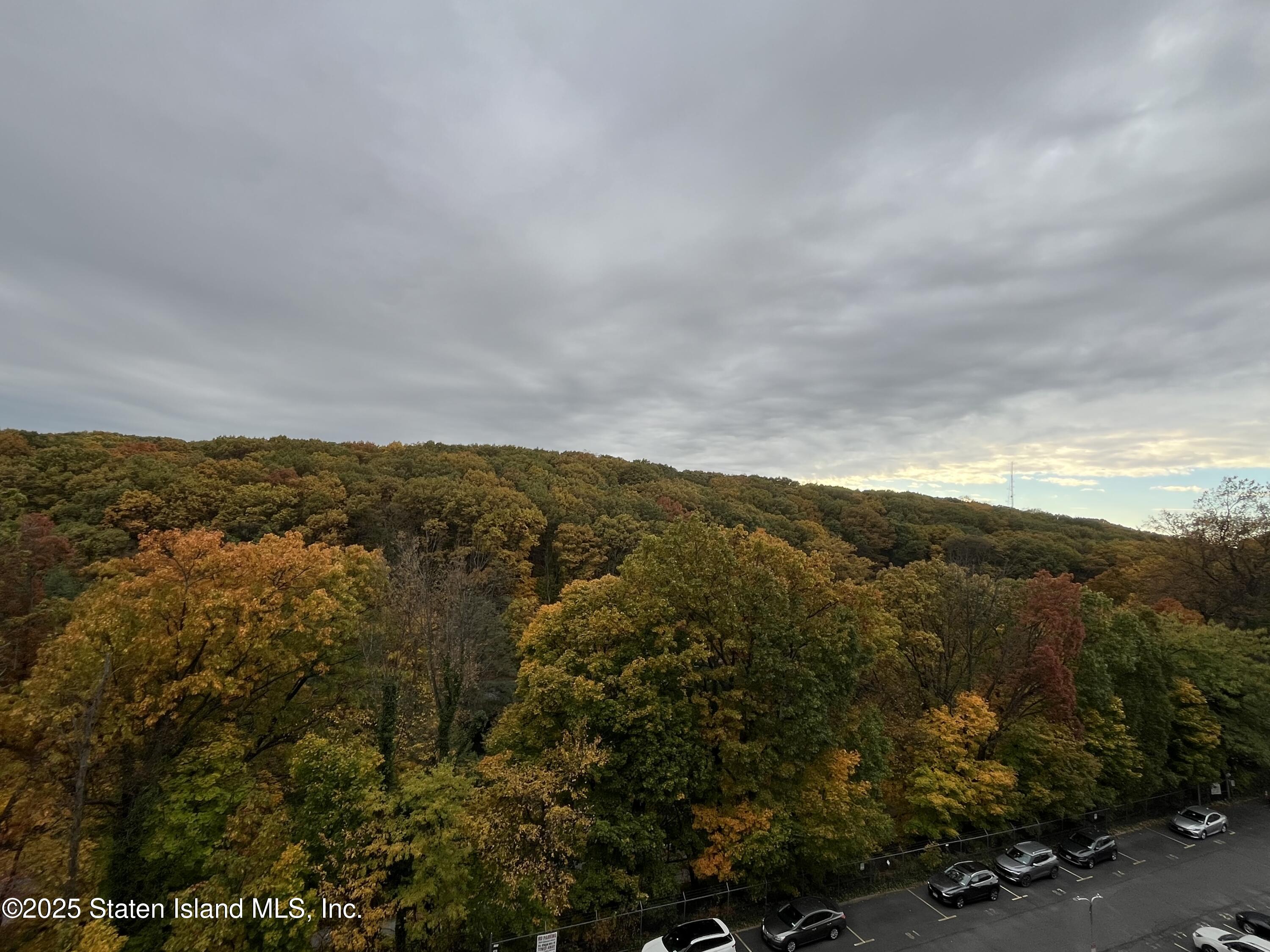 1000 Clove Road, Unit 6O & 6P Staten Island, NY 10301 - Photo 30 of 45 an aerial view of houses covered in trees