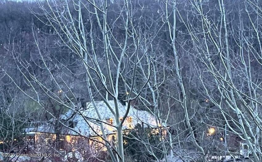 1000 Clove Road, Unit 6O & 6P Staten Island, NY 10301 - Photo 38 of 45 a picture of tree