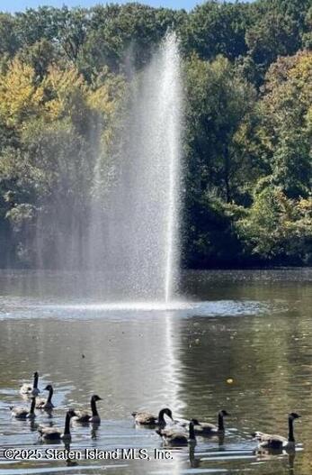 1000 Clove Road, Unit 6O & 6P Staten Island, NY 10301 - Photo 43 of 45 a view of a lake