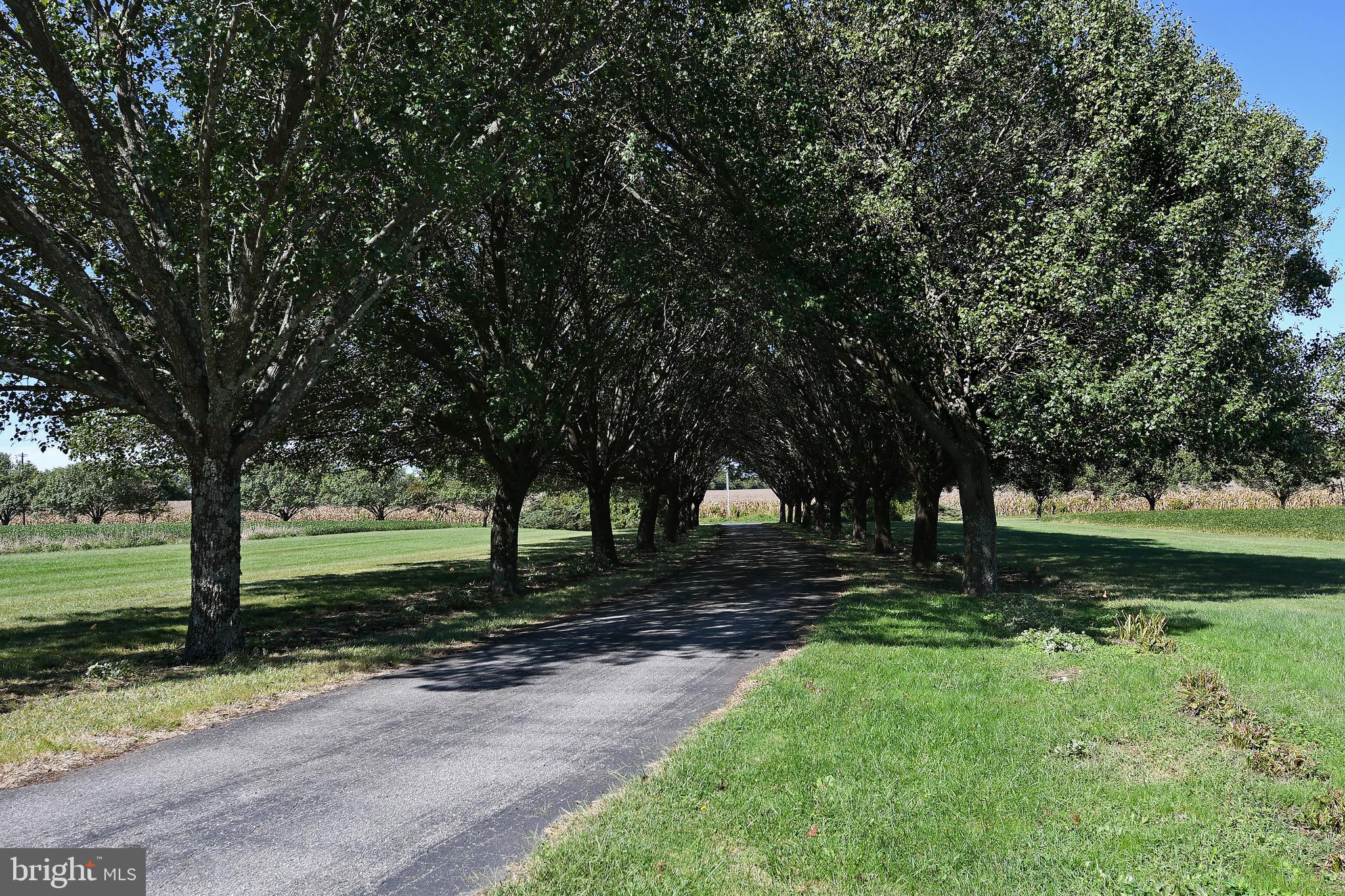 7741 Dover Neck Road Easton, MD 21601 - Photo 37 of 63 Gallery Image 37