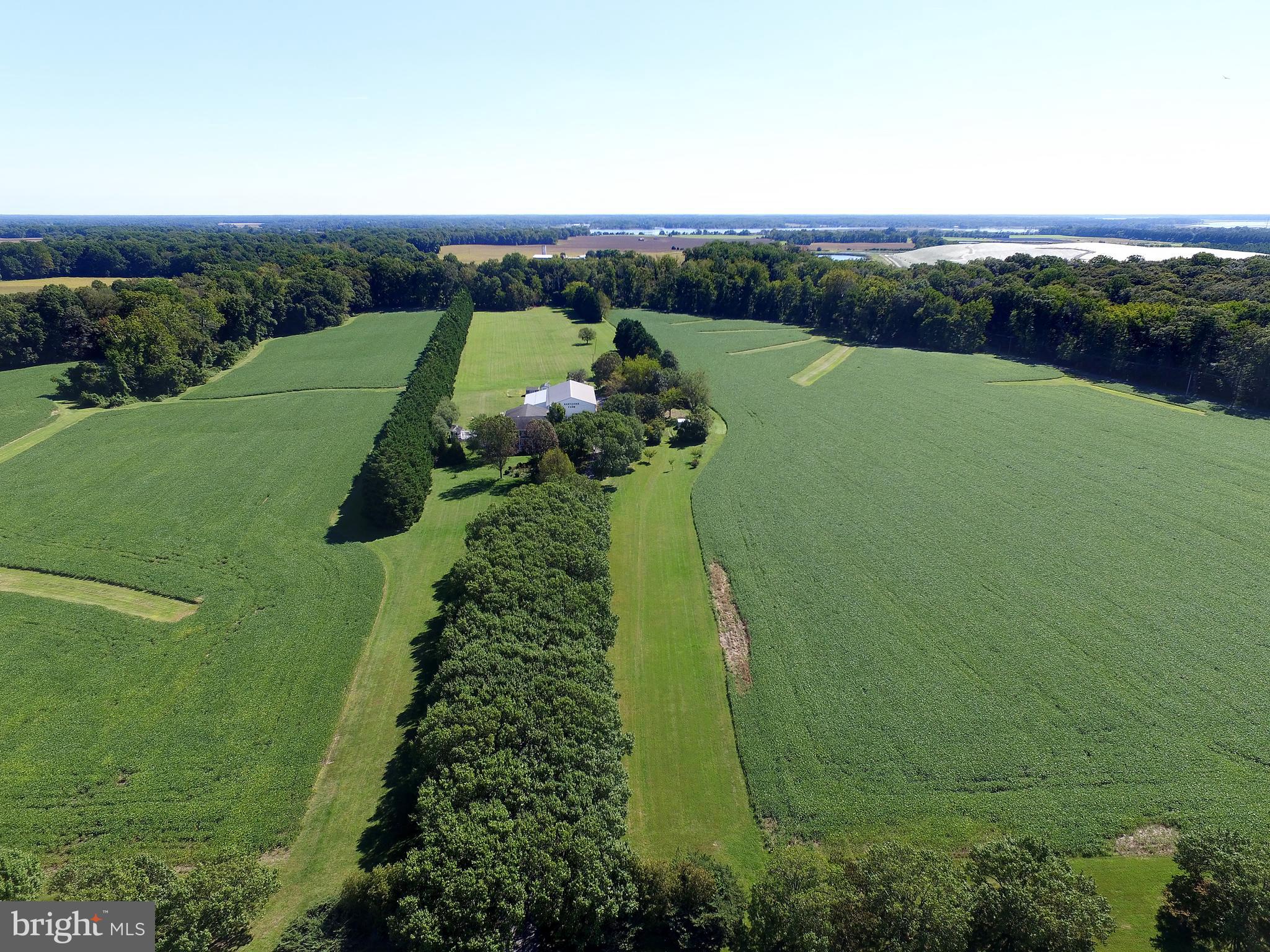 7741 Dover Neck Road Easton, MD 21601 - Photo 40 of 63 Gallery Image 40
