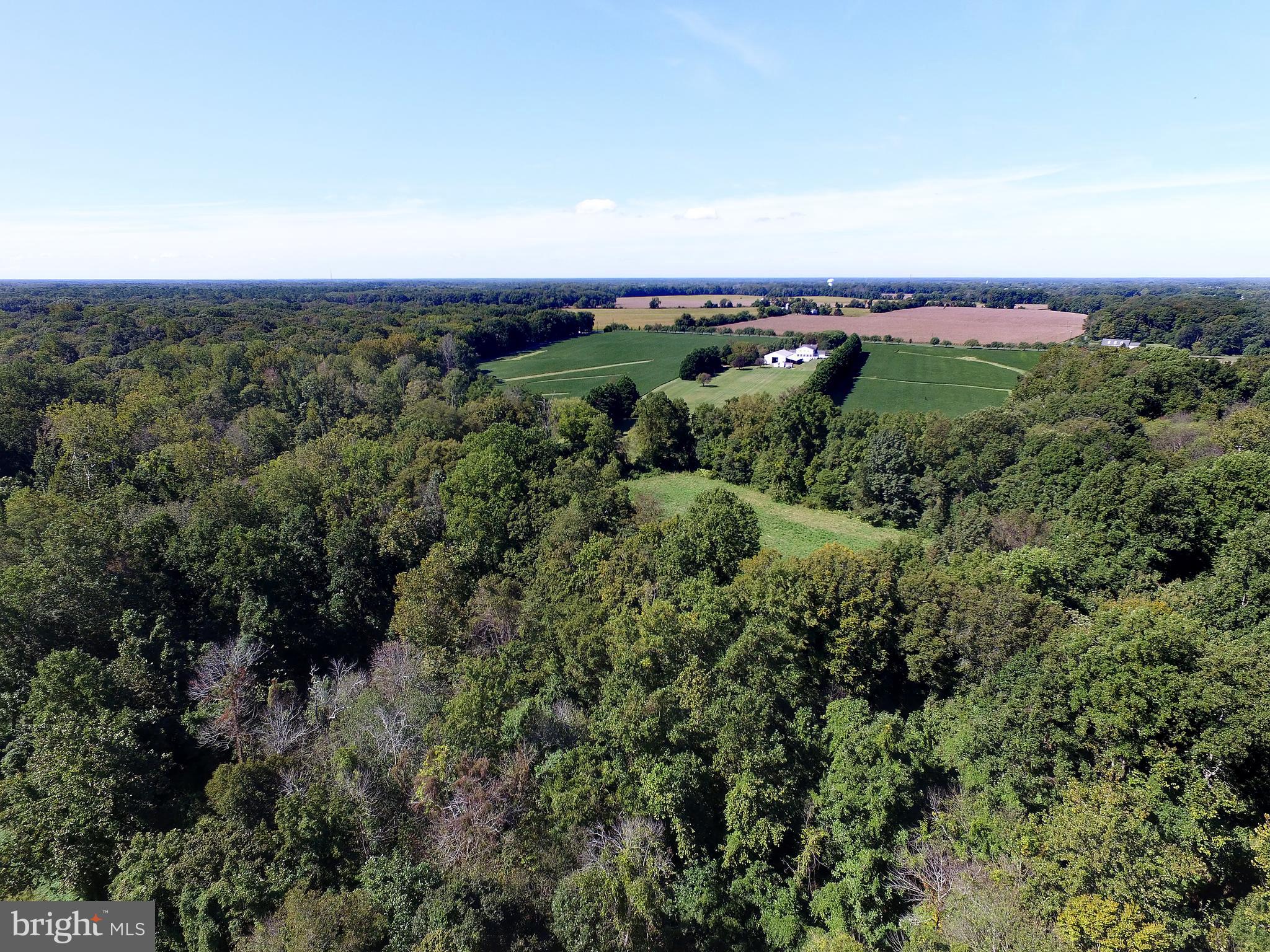 7741 Dover Neck Road Easton, MD 21601 - Photo 52 of 63 Gallery Image 52