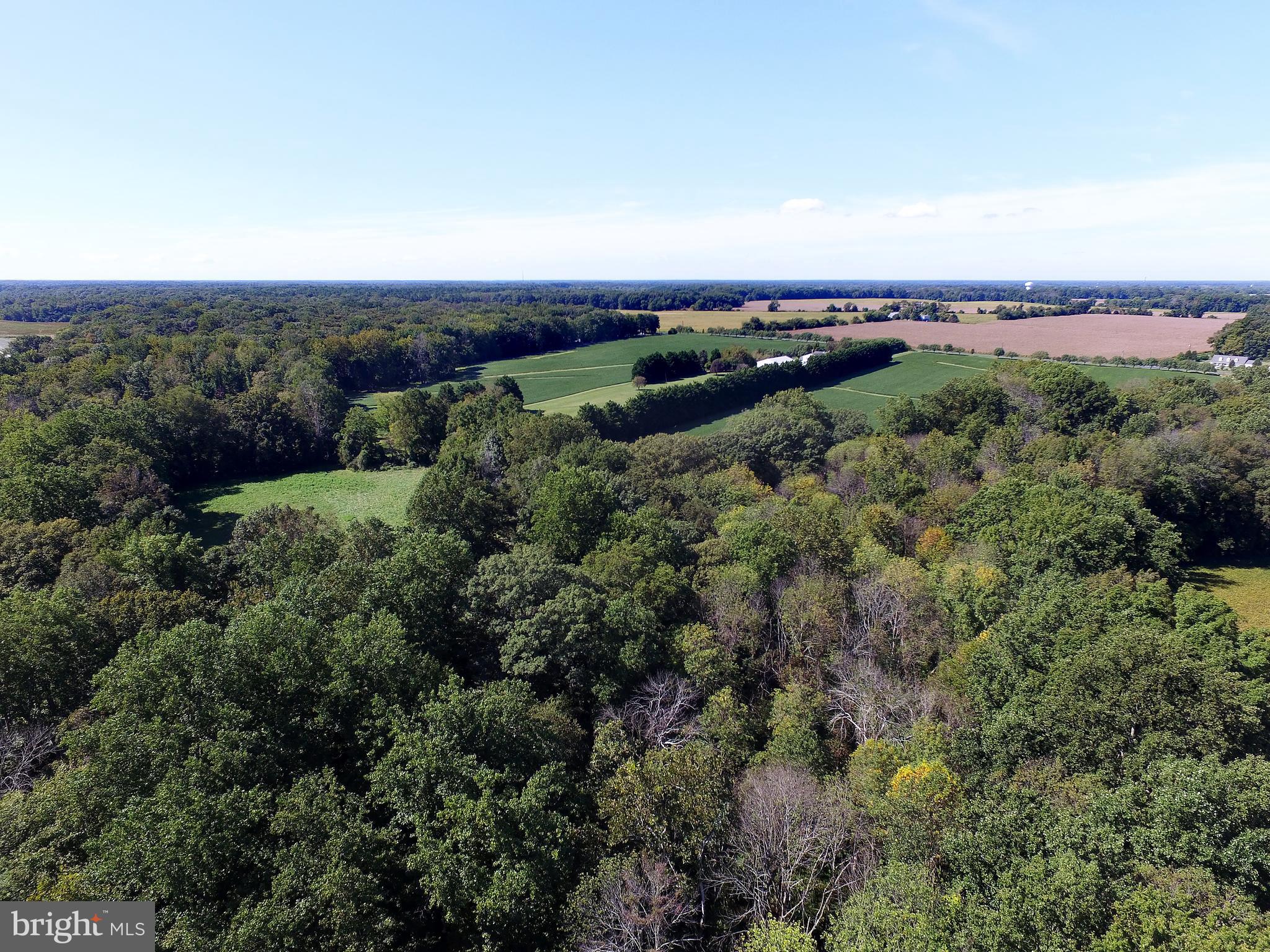 7741 Dover Neck Road Easton, MD 21601 - Photo 53 of 63 Gallery Image 53