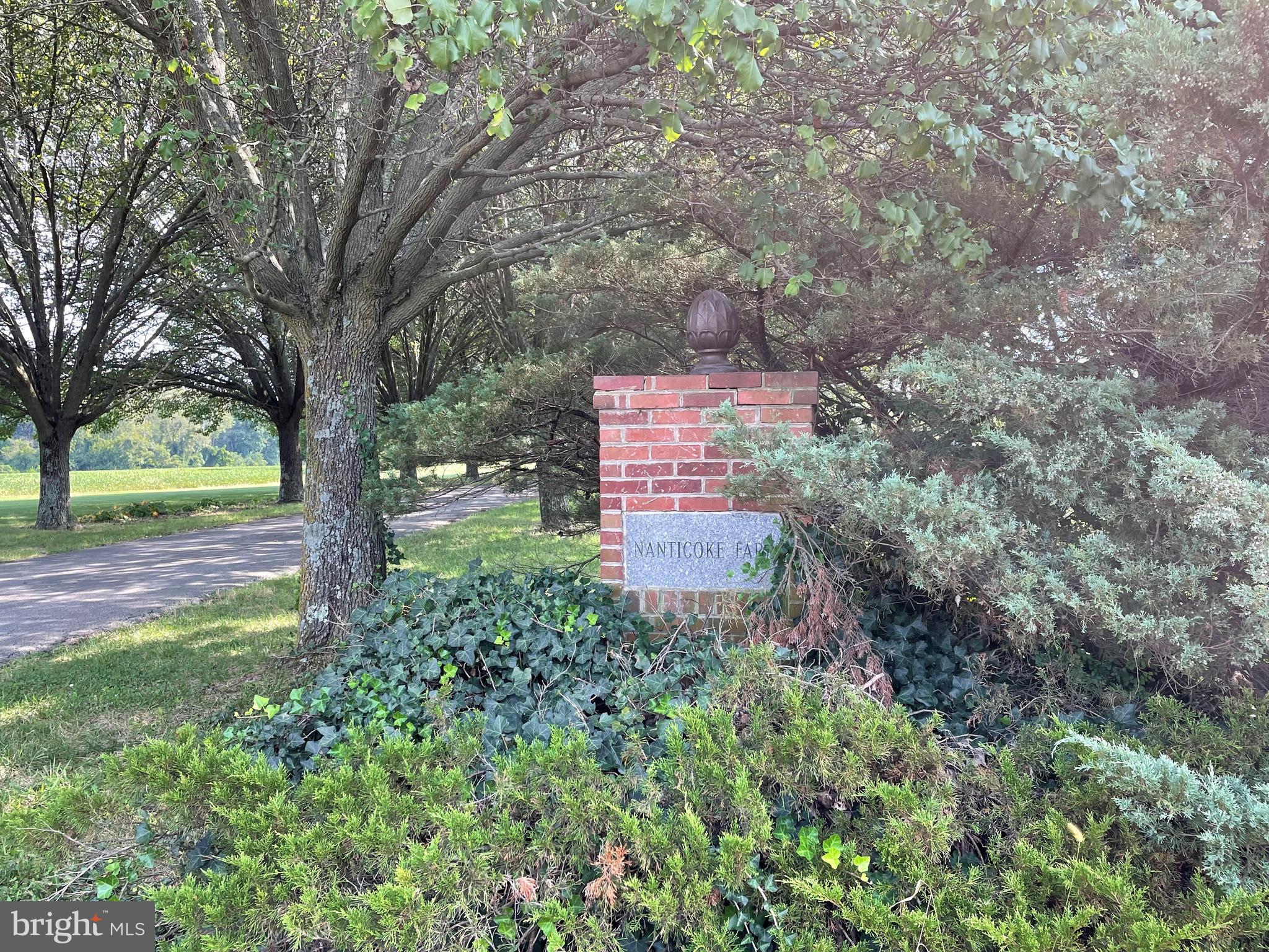 7741 Dover Neck Road Easton, MD 21601 - Photo 6 of 63 Gallery Image 6