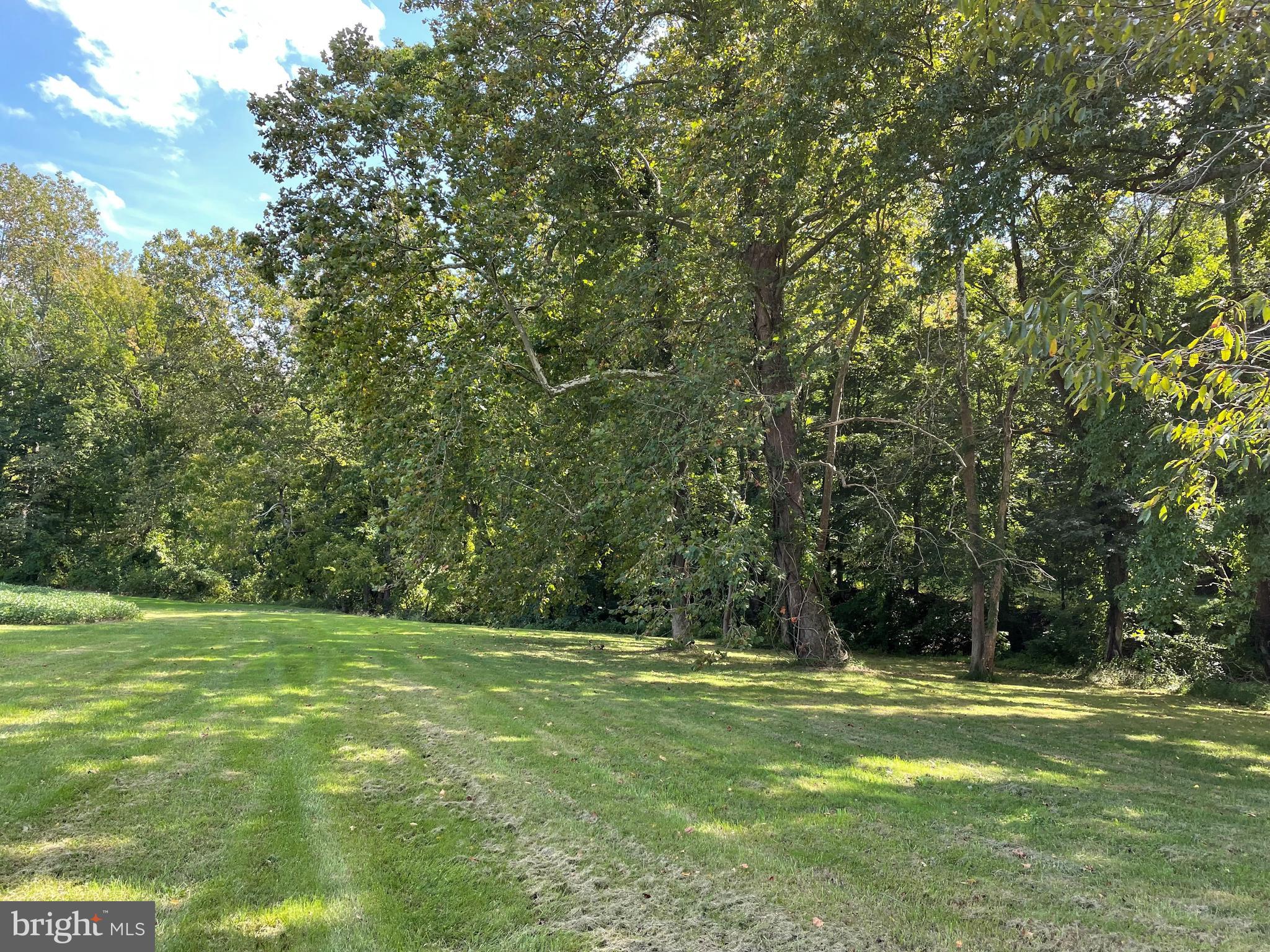 7741 Dover Neck Road Easton, MD 21601 - Photo 61 of 63 Gallery Image 61