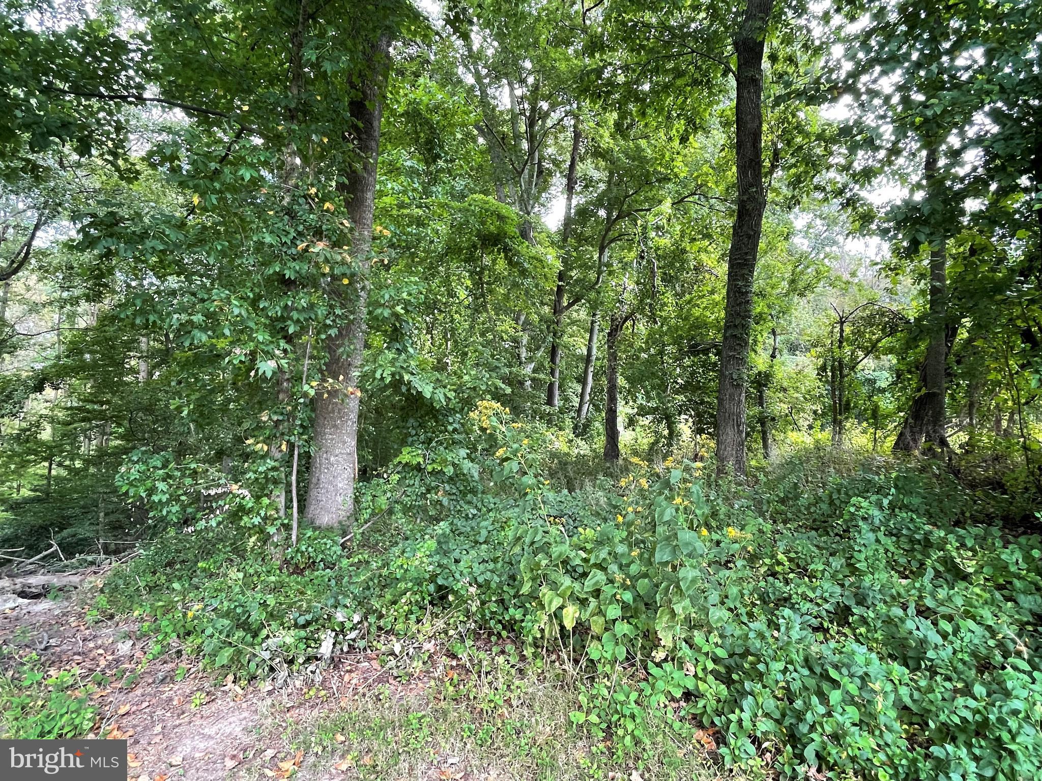 7741 Dover Neck Road Easton, MD 21601 - Photo 62 of 63 Gallery Image 62