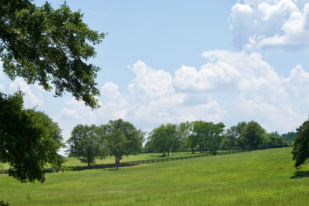 Lot 16 New Bridge Road Aiken, SC 29801 - Photo 8 of 10