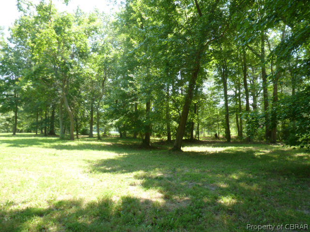 656 Hicks Wharf Road Cardinal, VA 23025 - Photo 6 of 7 a view of a trees in a yard