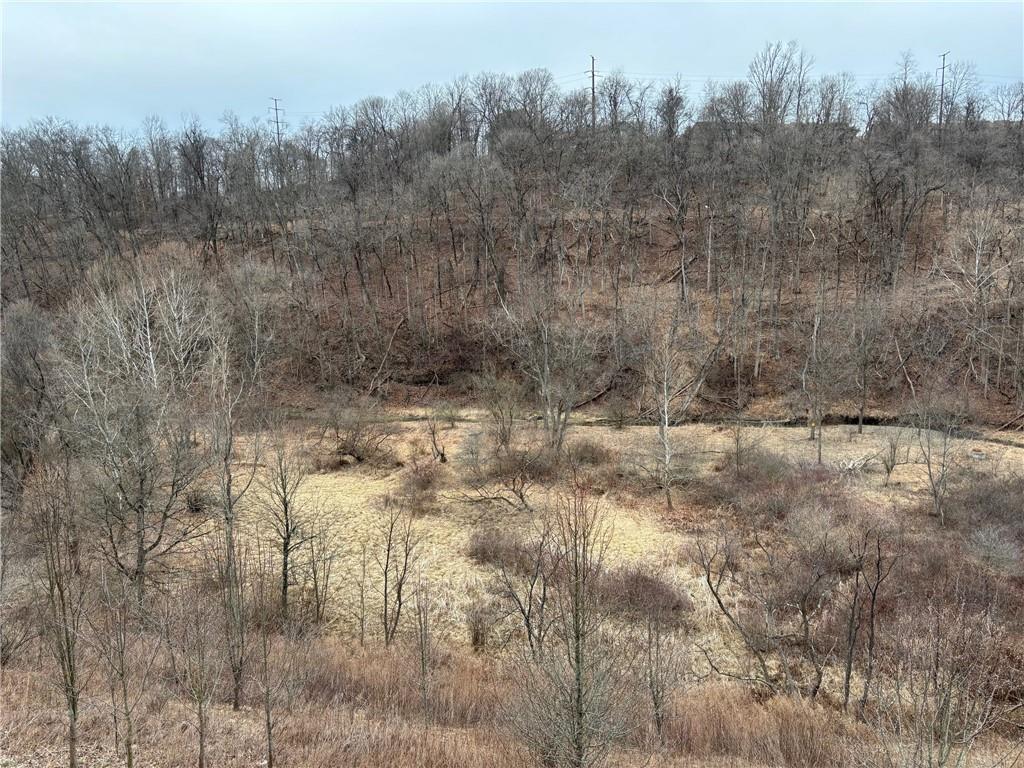 700 Hidden Ridge Court, Unit 302 South Park, PA 15129 - Photo 24 of 27 a view of a yard with trees in the background
