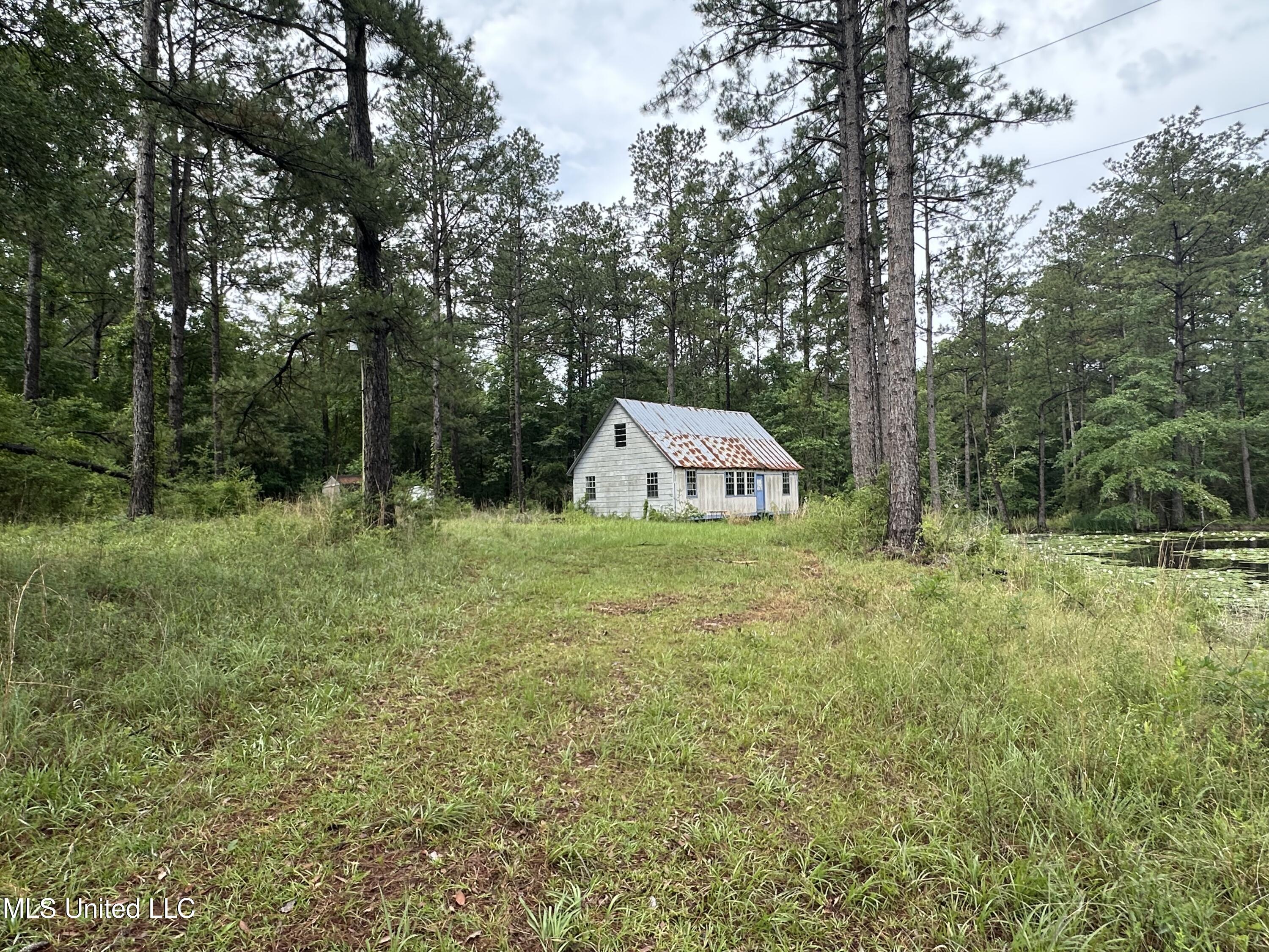 261 Tom Chance Road Poplarville, MS 39470 - Photo 6 of 23 IMG_2040