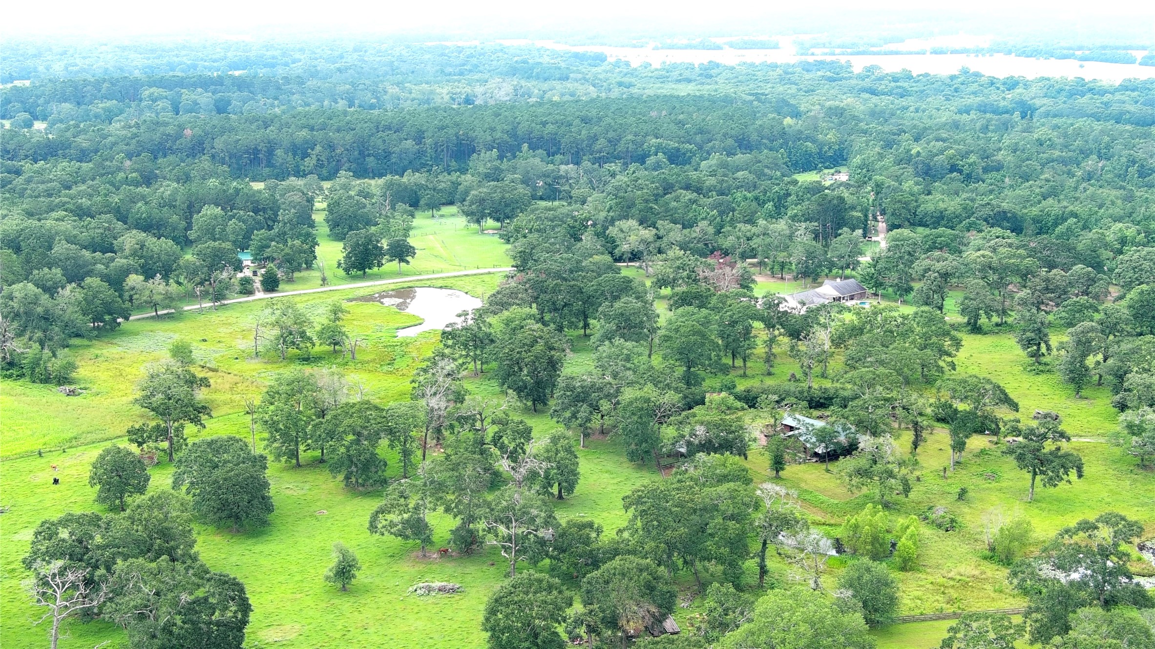 100 Hill Ranch Lane New Waverly, TX 77358 - Photo 4 of 23