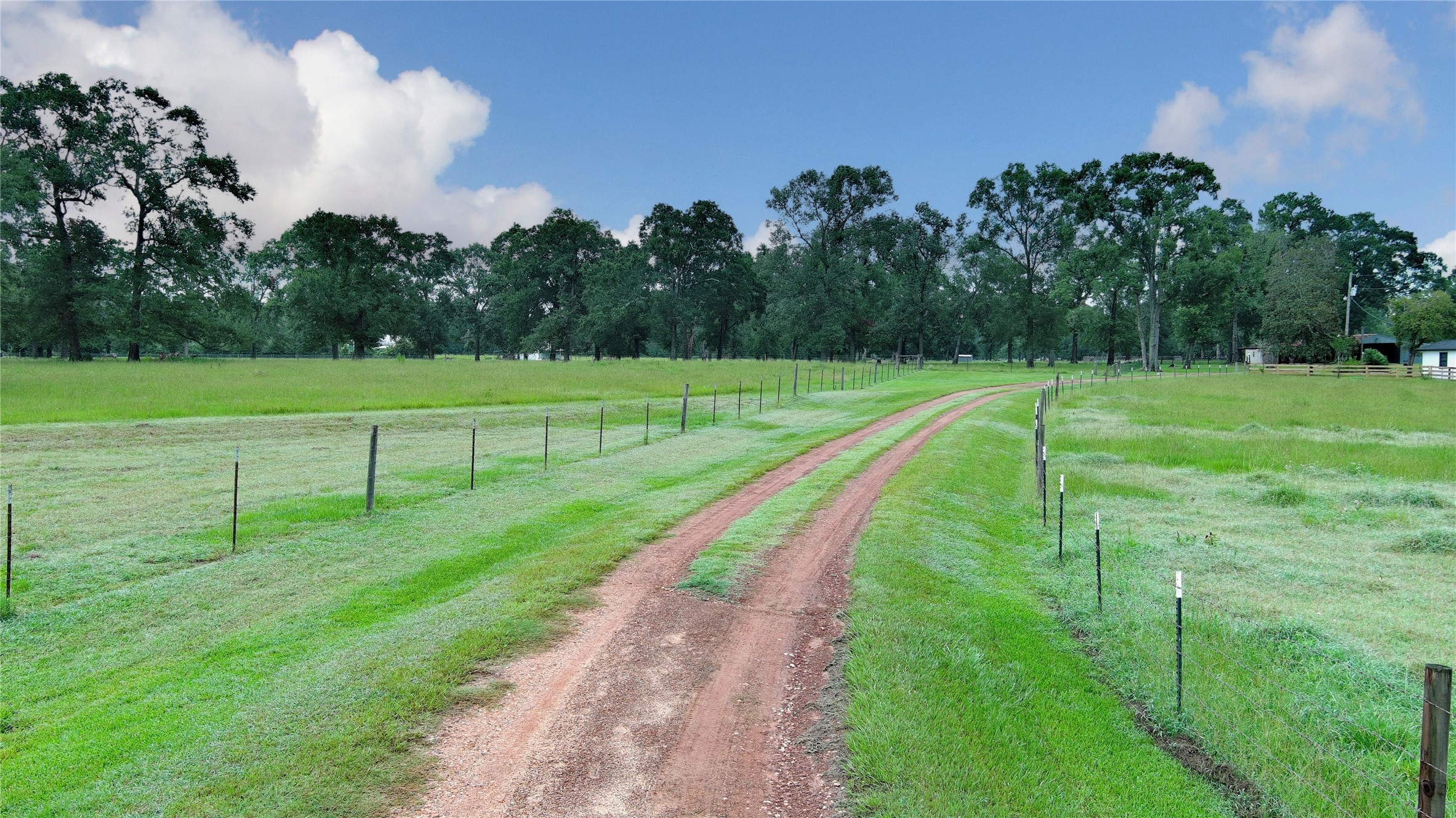 100 Hill Ranch Lane New Waverly, TX 77358 - Photo 5 of 23 a view of a park and trees all around