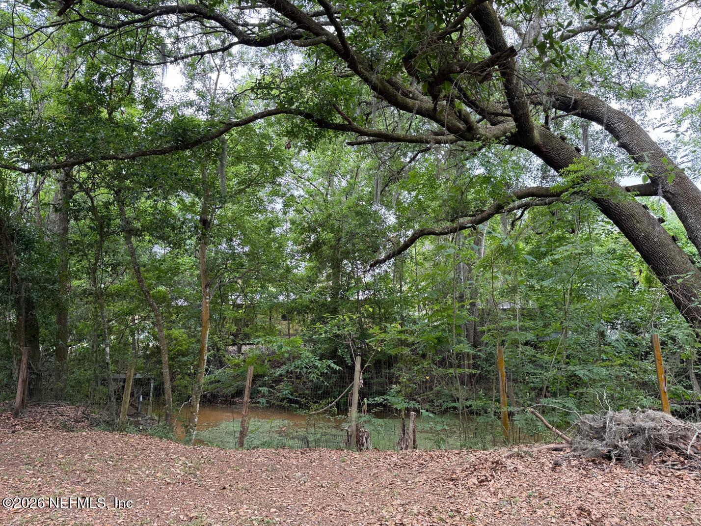 Canal to Saint Johns River