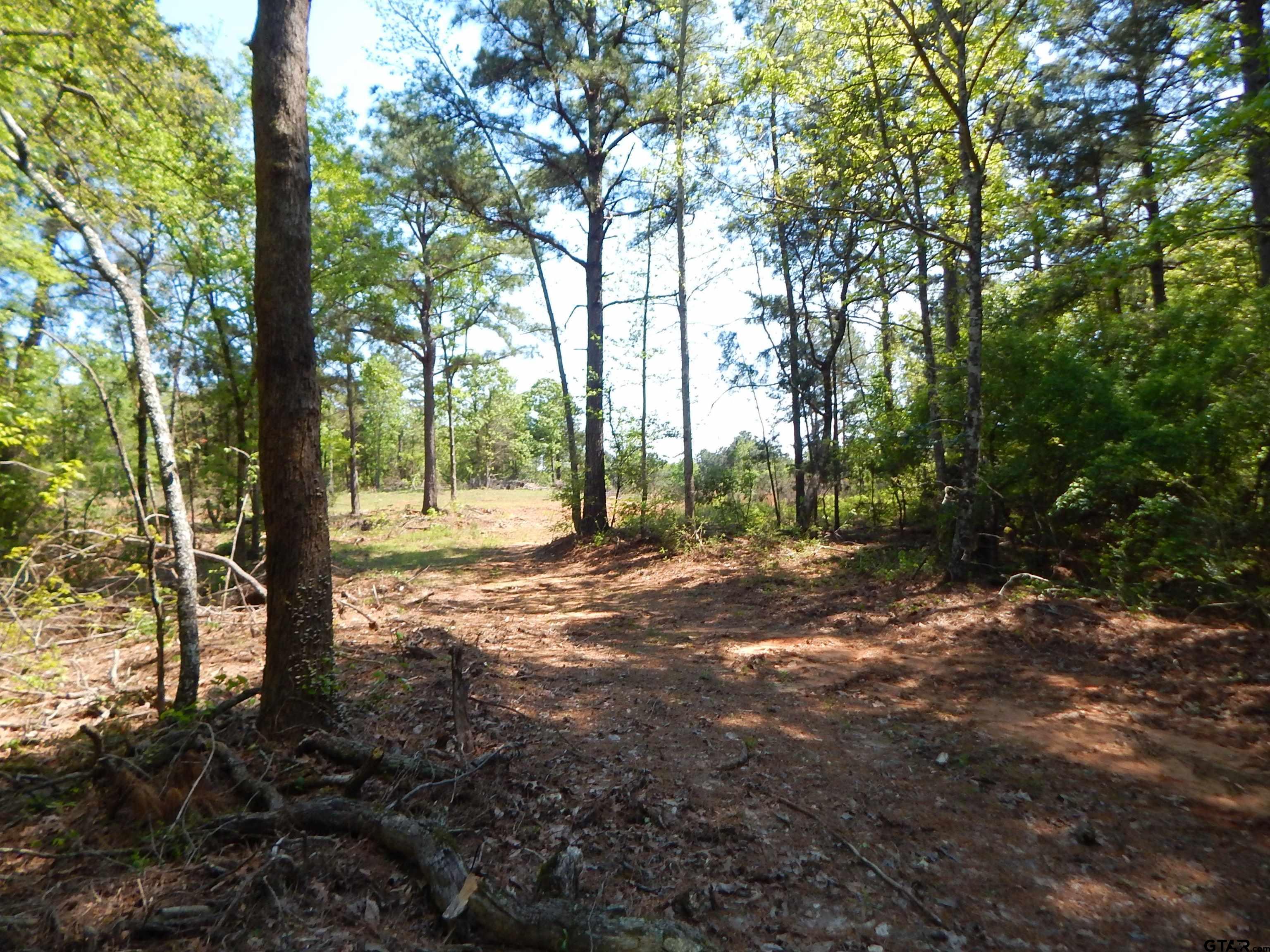 15 Acres Fm 1795 Big Sandy, TX 75755 - Photo 4 of 15