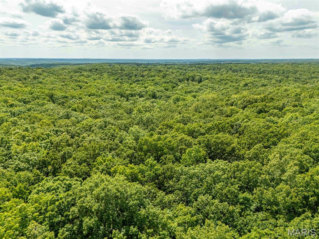 0 Fire Tower Road Steelville, MO 65565 - Photo 27 of 28 Gallery Image 27