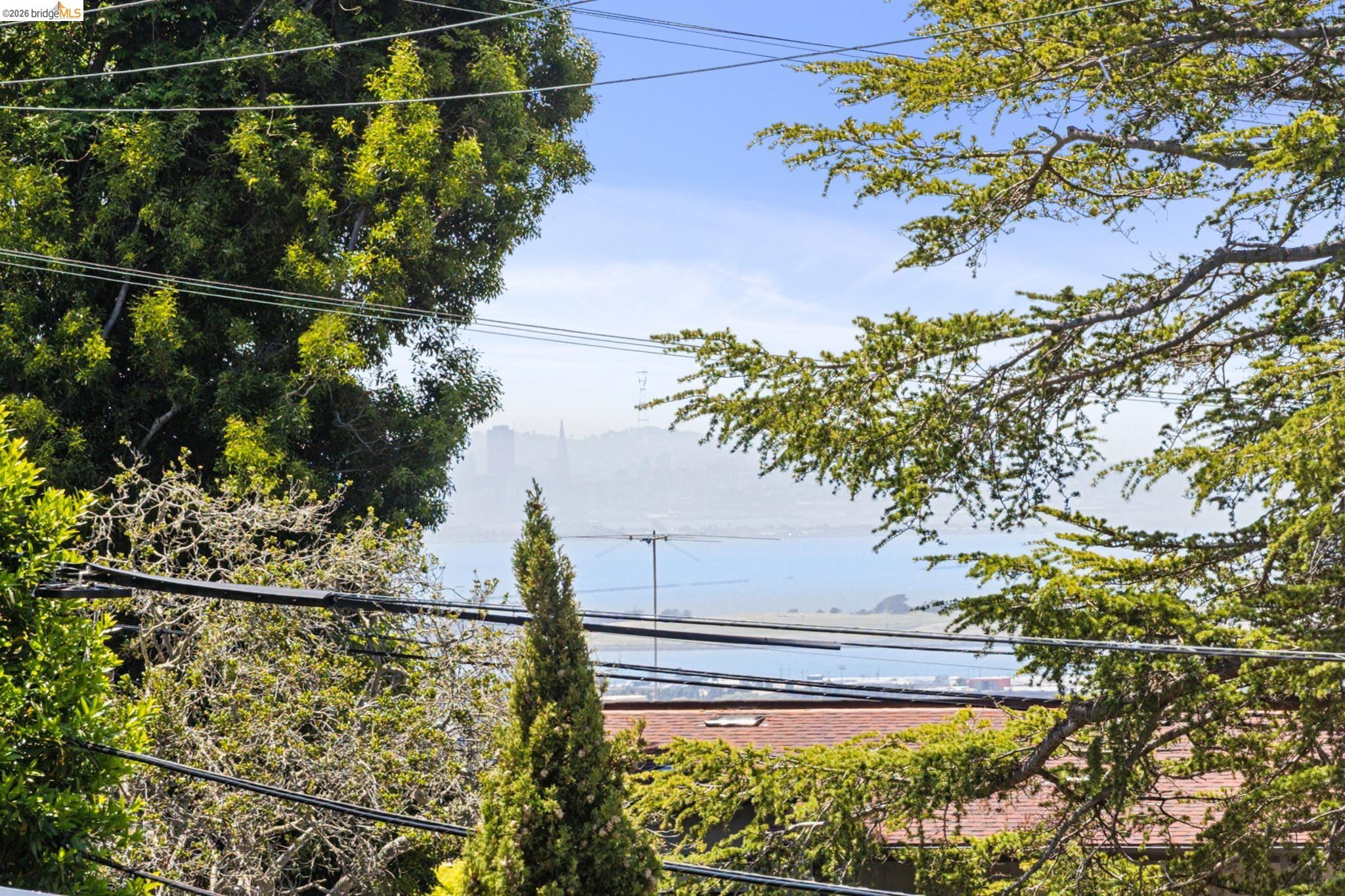 178 Ardmore Road Kensington, CA 94707 - Photo 10 of 50