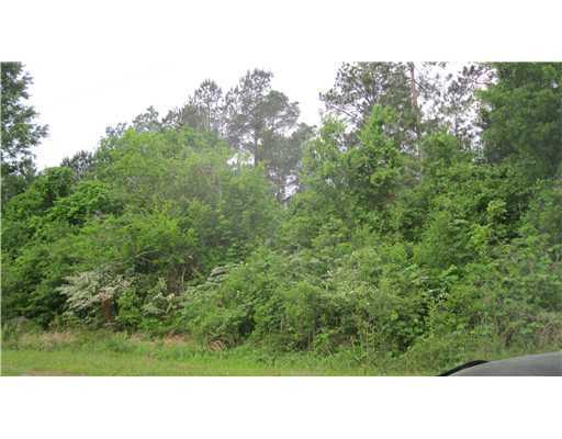 0 Rosedale Church Road Lucedale, MS 39452 - Photo 1 of 4 Primary Photo