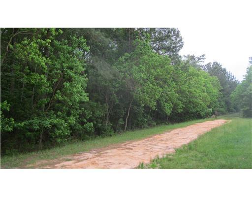 0 Rosedale Church Road Lucedale, MS 39452 - Photo 4 of 4 Additional Photo