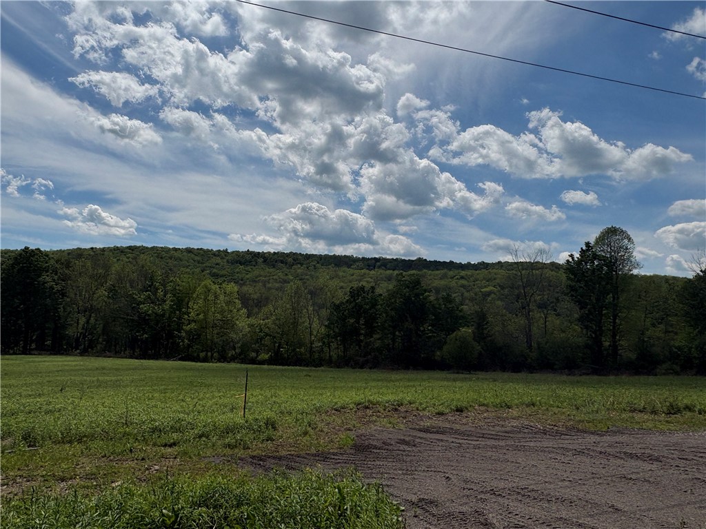 46 County Road Norwich, NY 13815 - Photo 20 of 27