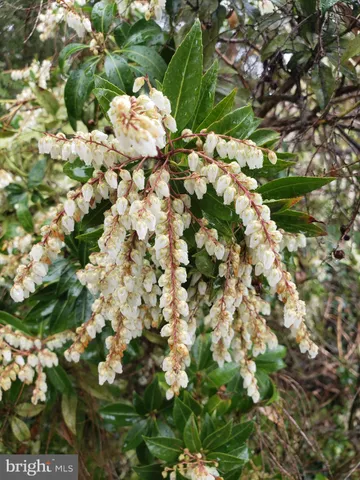 $799,900 | 802 South Blue Ridge Avenue, Culpeper, VA 22701