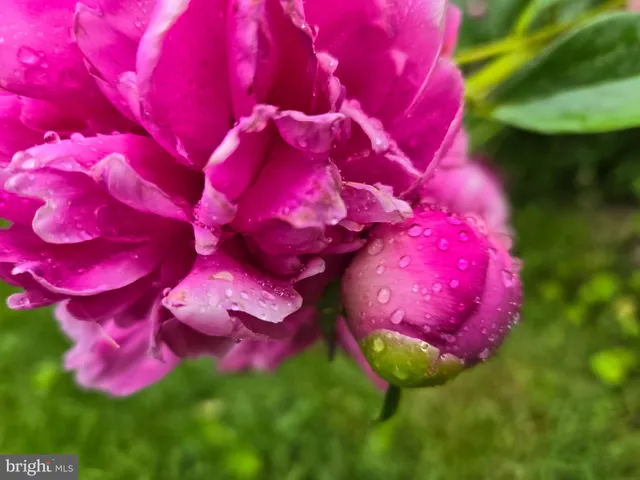 $799,900 | 802 South Blue Ridge Avenue, Culpeper, VA 22701